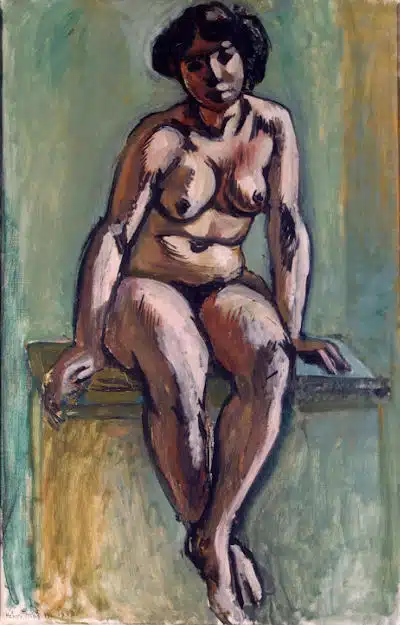 Matisse e Rosa, celebre modella. Matisse, H. Seated Nude, Hermitage, S.Pietroburgo
